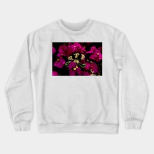 Purple and White Crewneck Sweatshirt